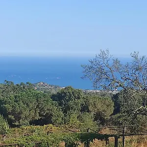  Apartamento Bruguera